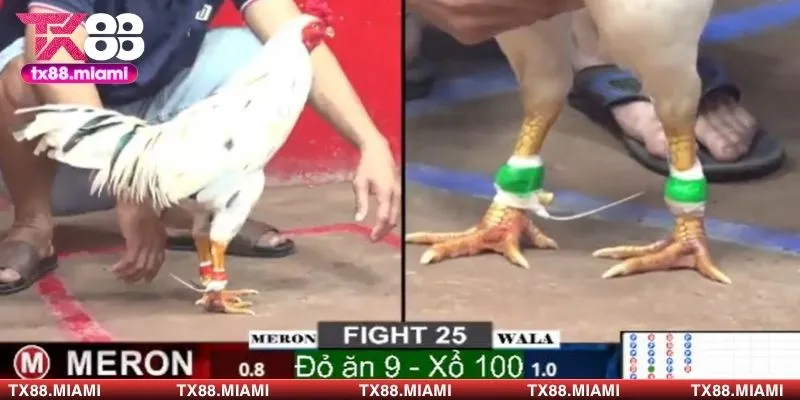 Một số cửa cược có thể tham khảo khi tham gia cược cửa sắt 